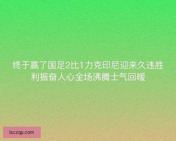 终于赢了国足2比1力克印尼迎来久违胜利振奋人心全场沸腾士气回暖 终于赢了国足2比1力克印尼迎来久违胜利振奋人心全场沸腾士气回暖
